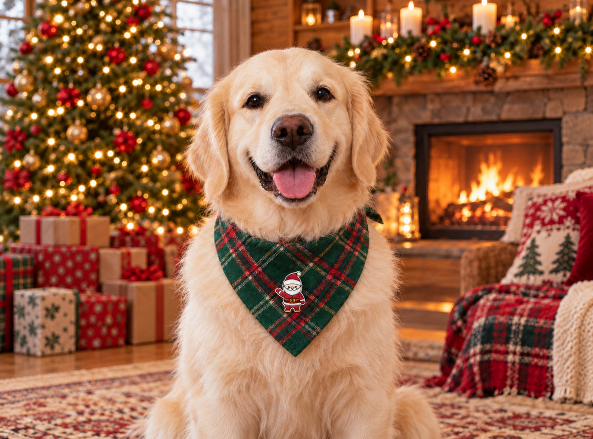 Waving Santa embroidered patch on a dog bandana